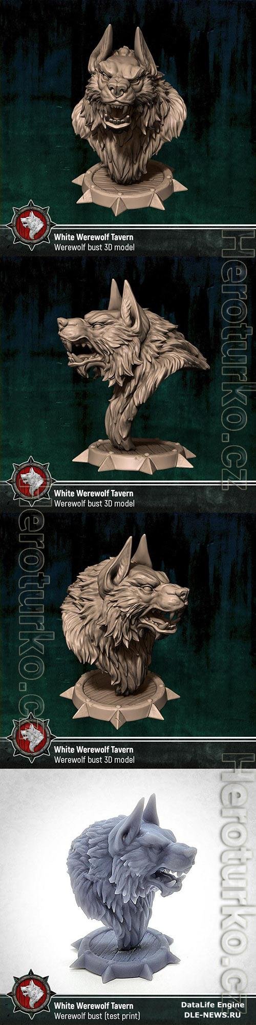 Werewolf Bust 3D Print Model