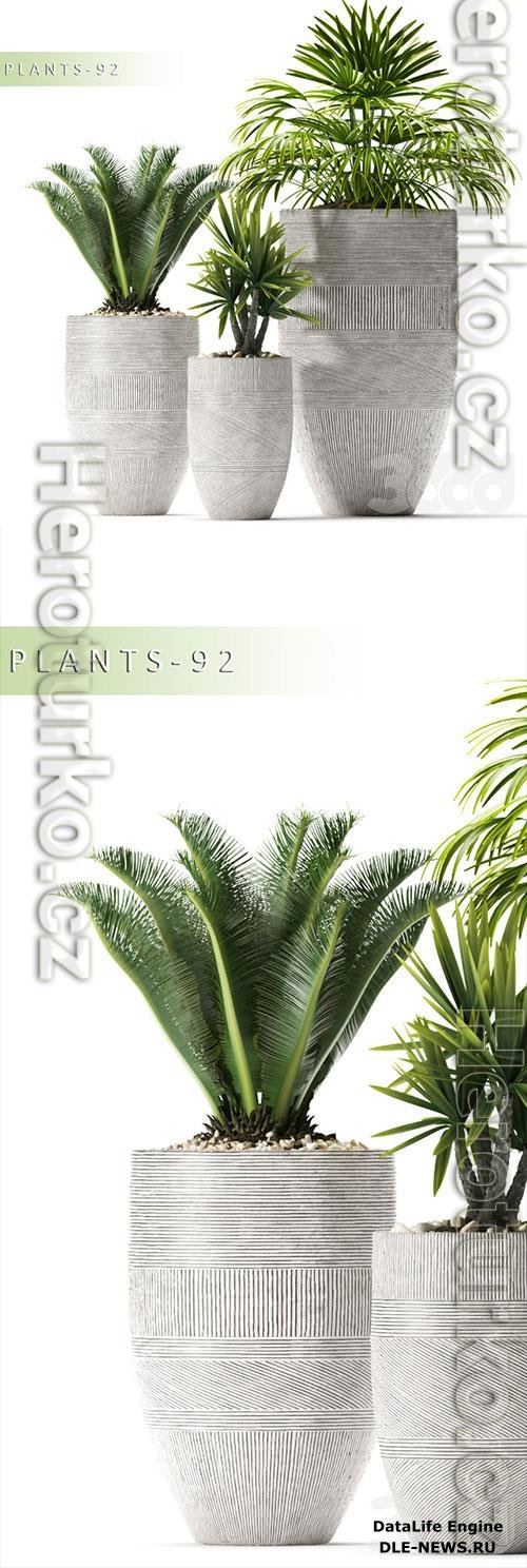 Plants 92 3D Model