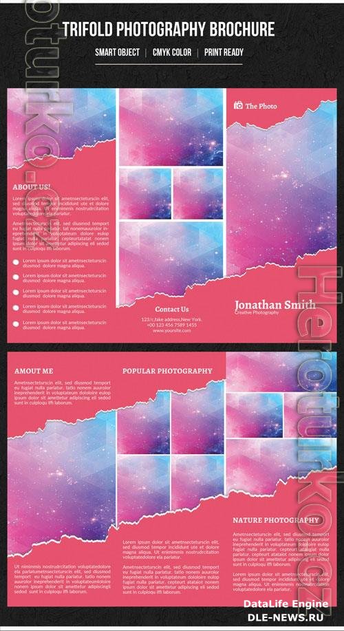 Trifold Brochure Layout with Paper Tear Element 134762037