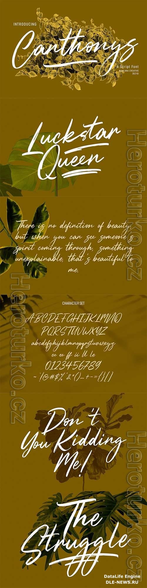 Canthonys Brush Script Font