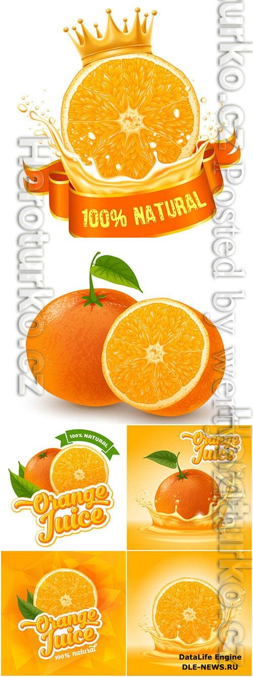 Orange and orange juice in vector