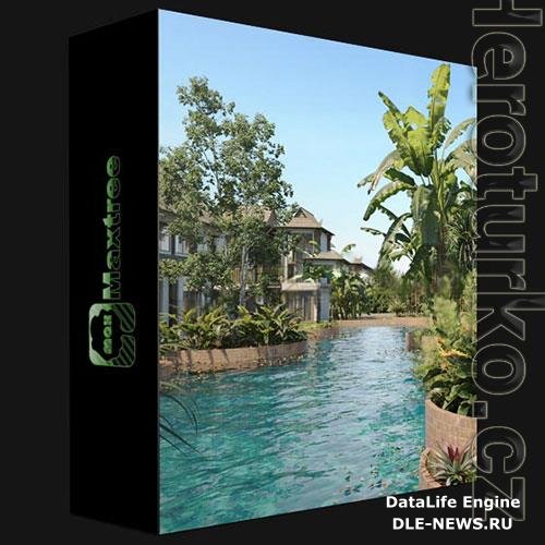 MAXTREE  PLANT MODELS VOL 72