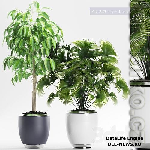 3D Models PLANTS 139