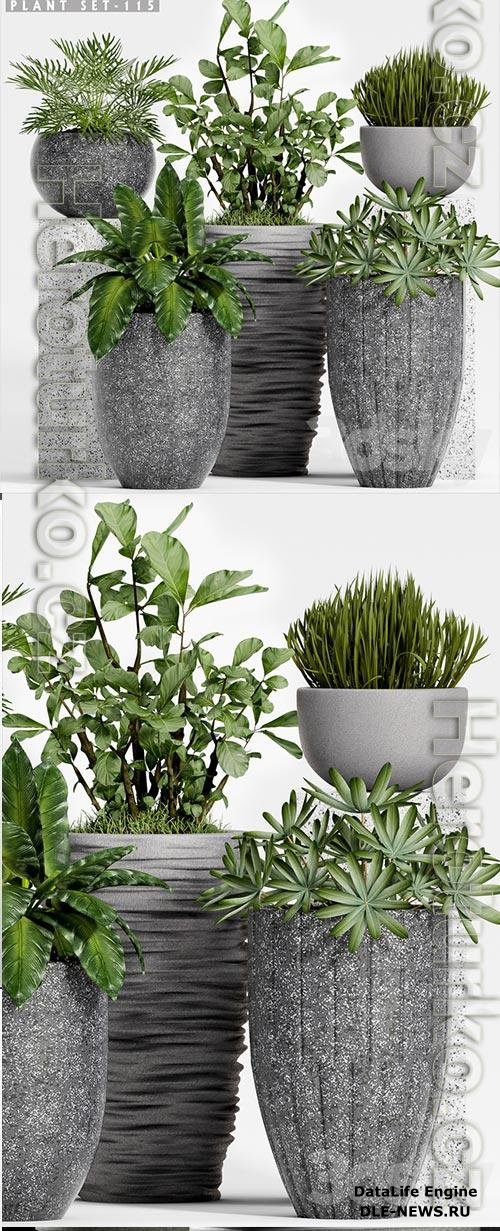 3D Models Plant set-115