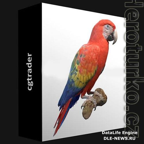 3D Models CGTRADER  SCARLET MACAW 3D MODEL