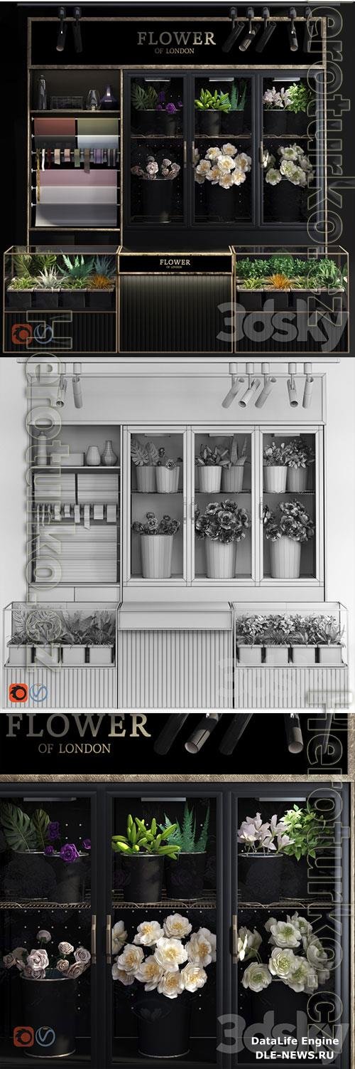 3D Models Flower Shop Refrigerated Display