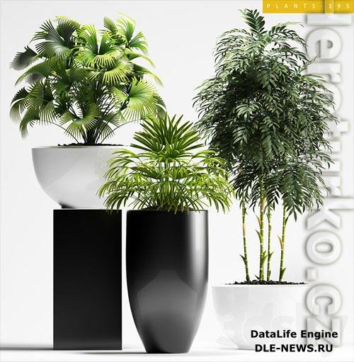 3D Models PLANTS 195