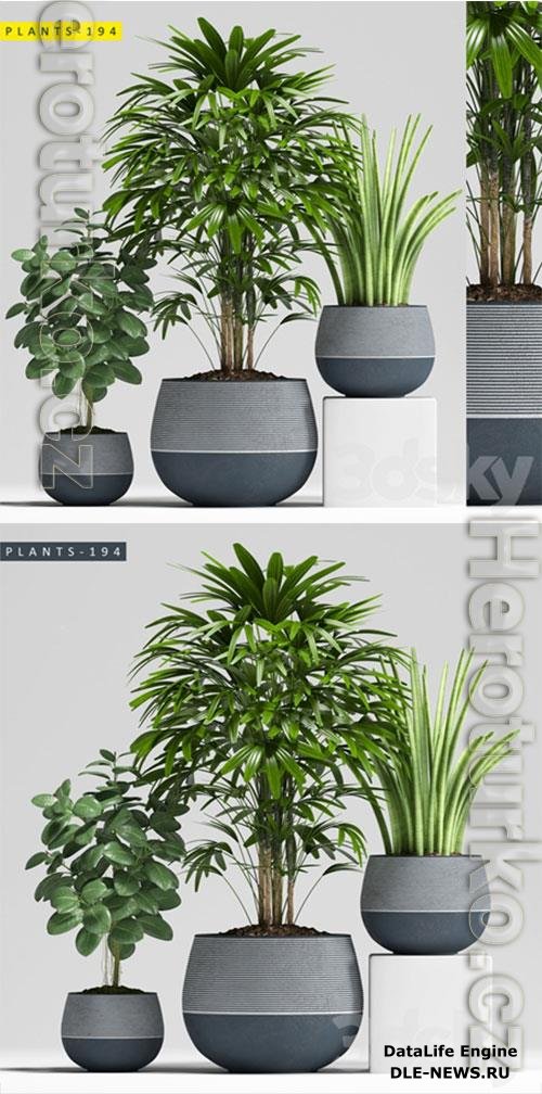 3D Models Plants 194