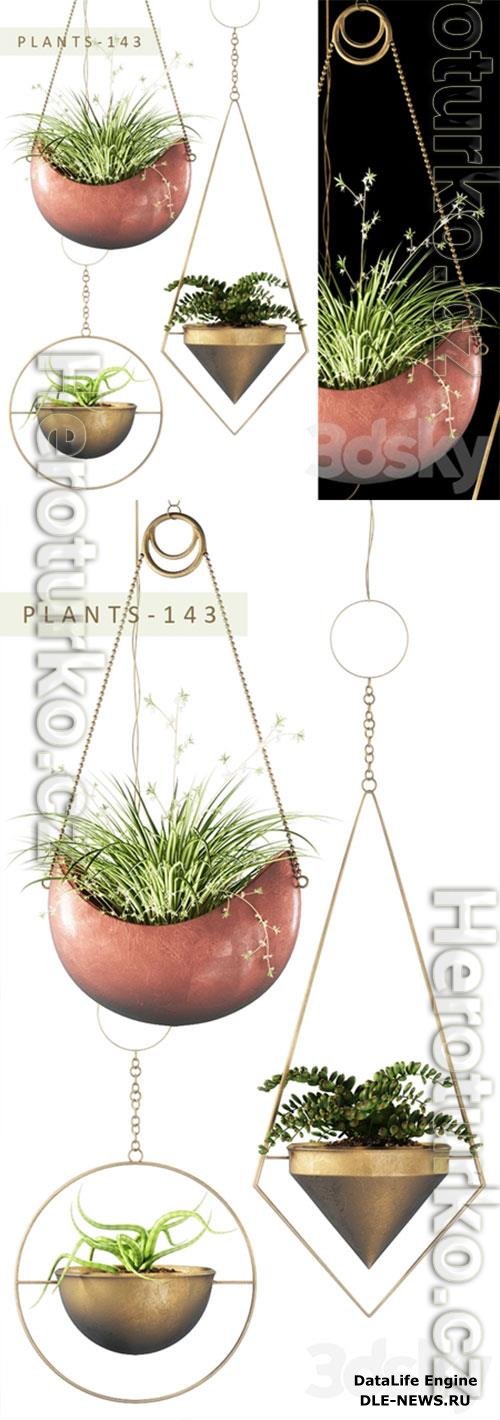 3D Models PLANTS 143