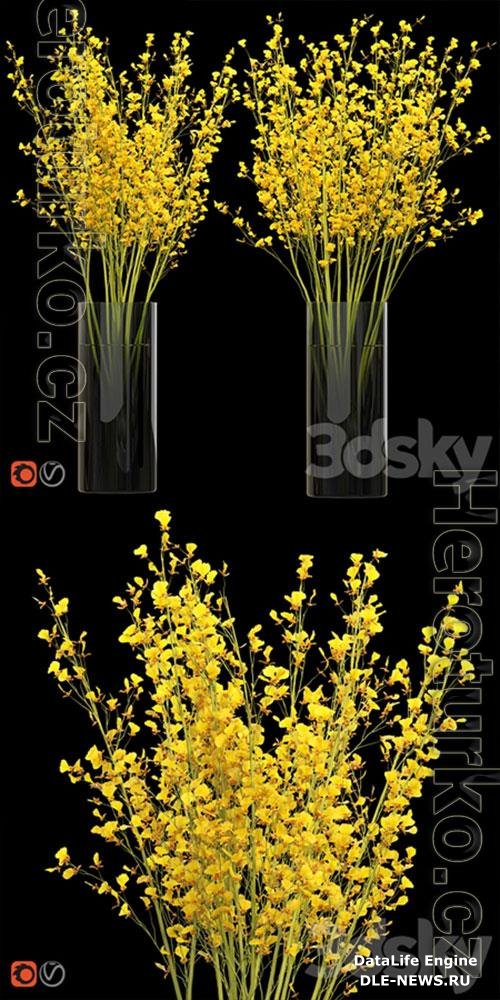3D Models Big Bouquet Orchid Oncidium in a Vase