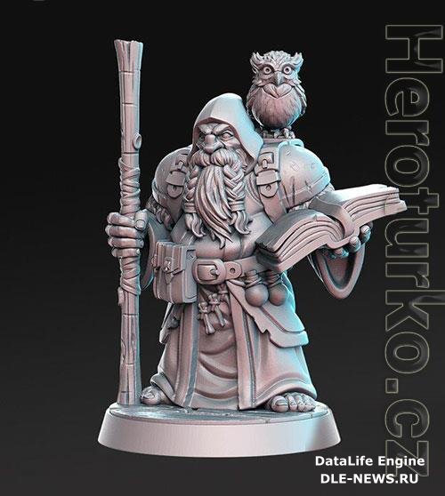 3D Print Models Dramnir - Dwarf Wizard with owl