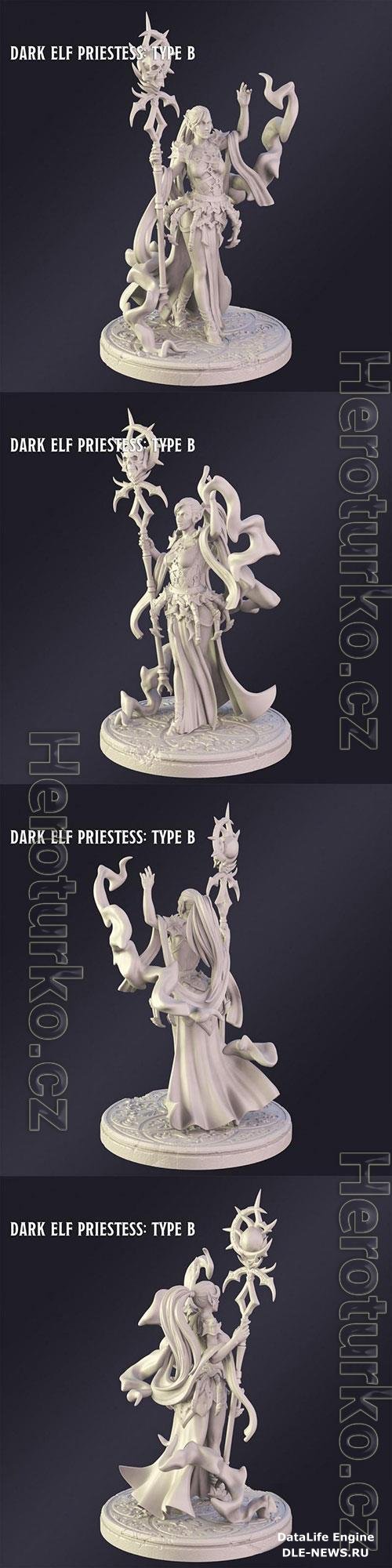 3D Print Models Dark Elf Priestes Type B