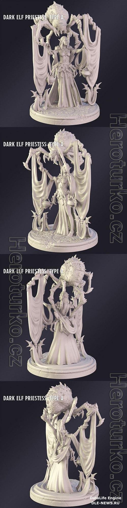 3D Print Models Dark Elf Priestes Type A