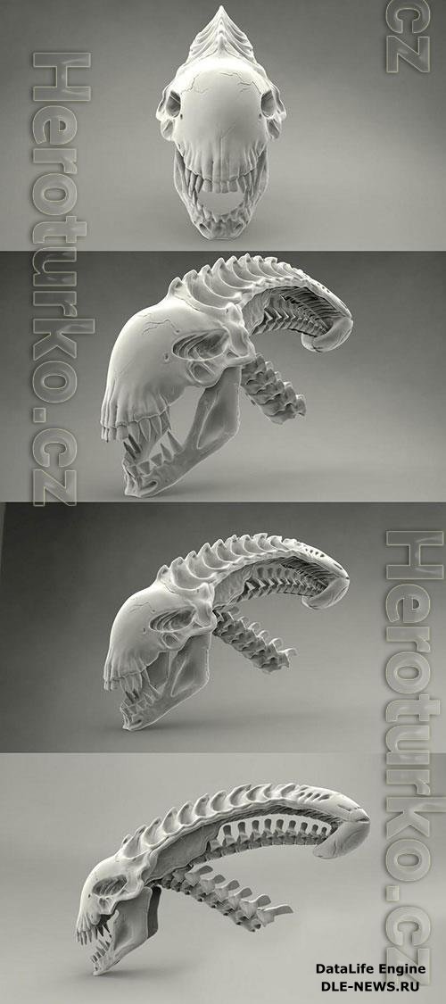 3D Print Models Alien Skull