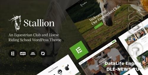 Themeforest Stallion 36917946