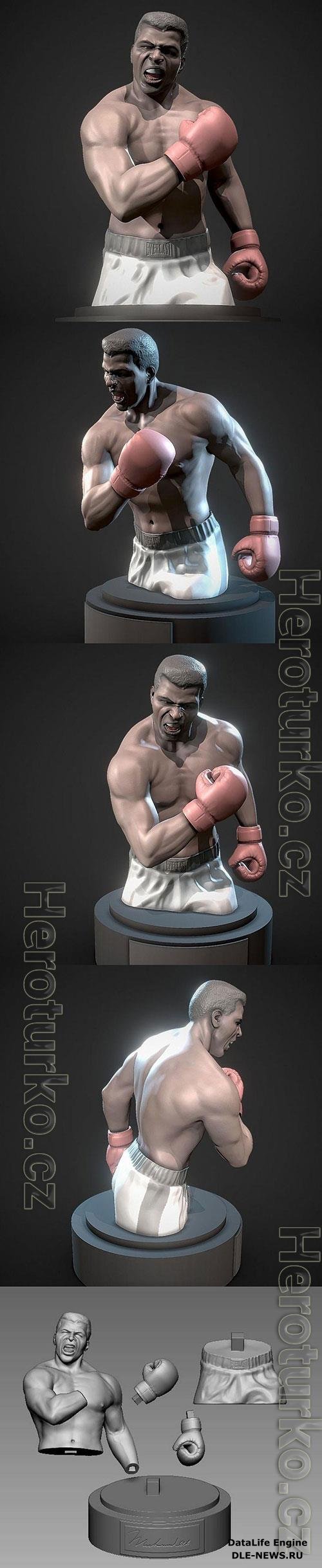 Muhammad Ali Bust 3D Print Model