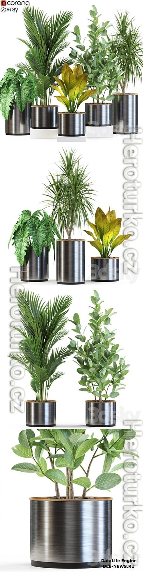 Plants collection 547 3D Model