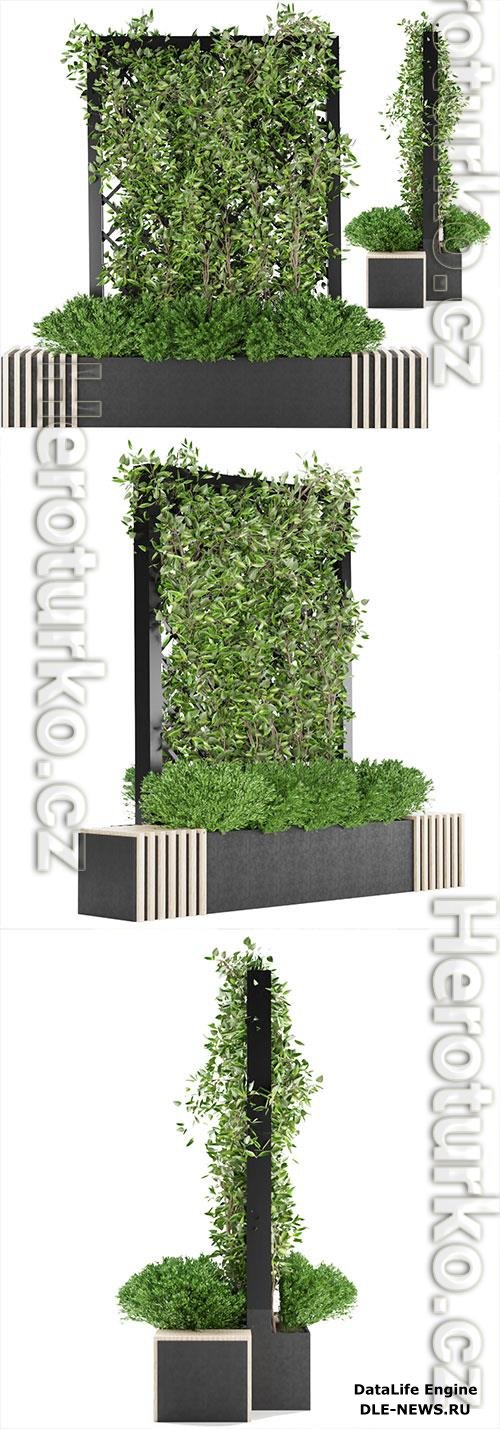 Collection Plant Vol 16 3D Model