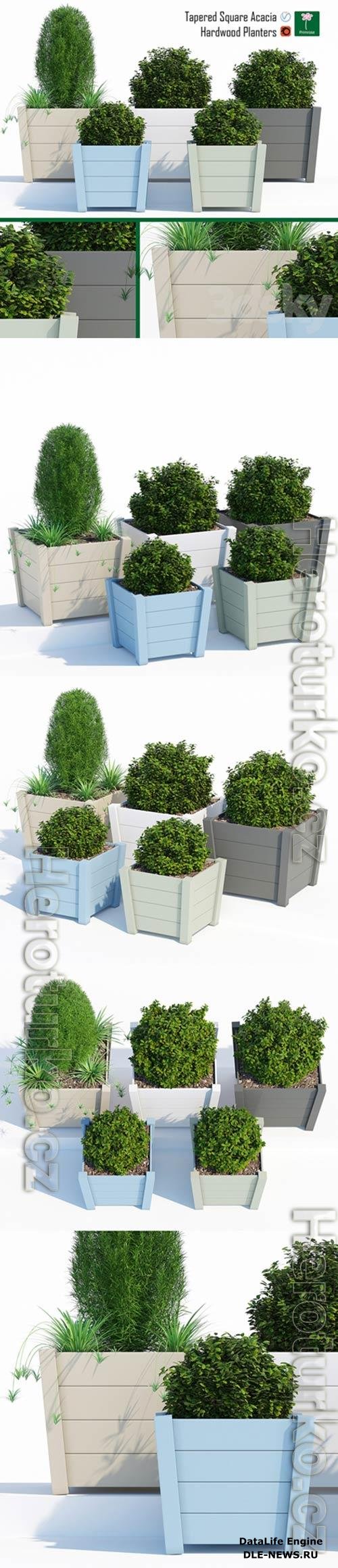 Hardwood Planters 2 3D Model