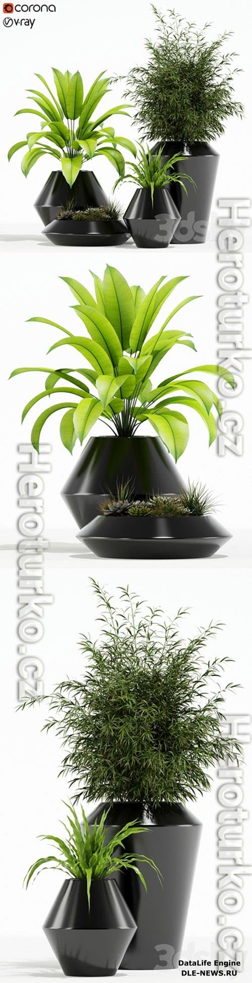 Plants collection 133 Westelm Modern Planters 3D Model