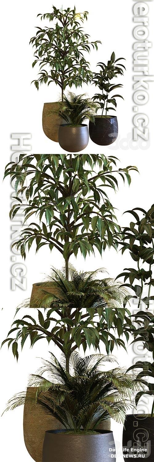 Plant In Box Set 040 3D Model