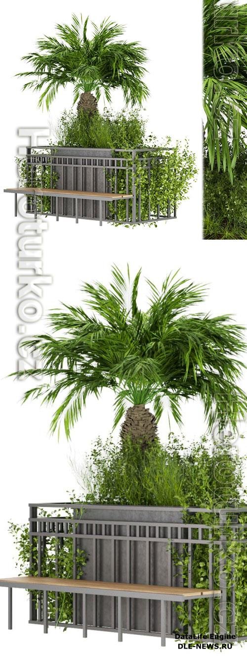 Collection Plant Vol 228 3D Model