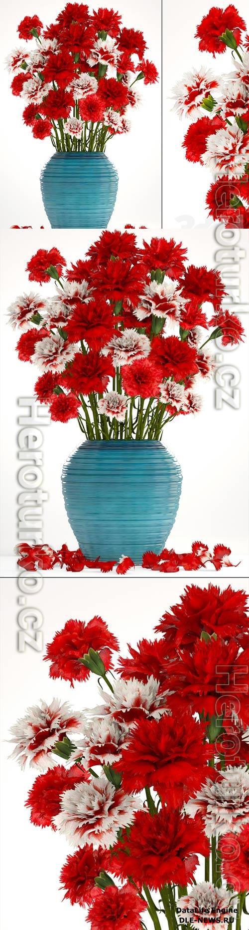 Collection of flowers 13 Carnation 3D Model