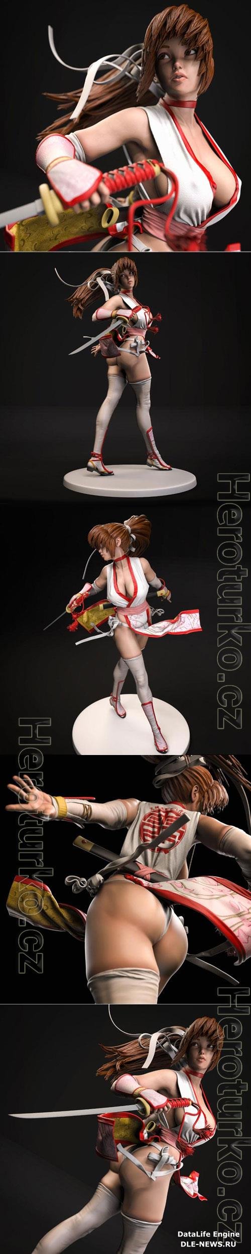 Kasumi - Dead Of Alive 3D STL