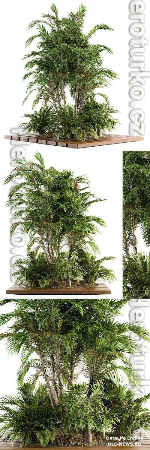 Garden set Tropical bush and Tree - Garden Set 05 3D Model