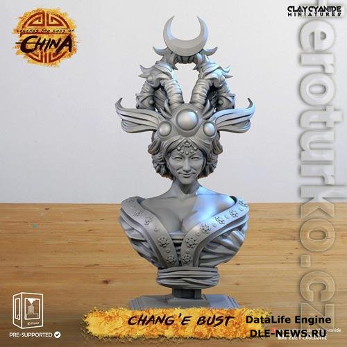 Change Bust 3D Print