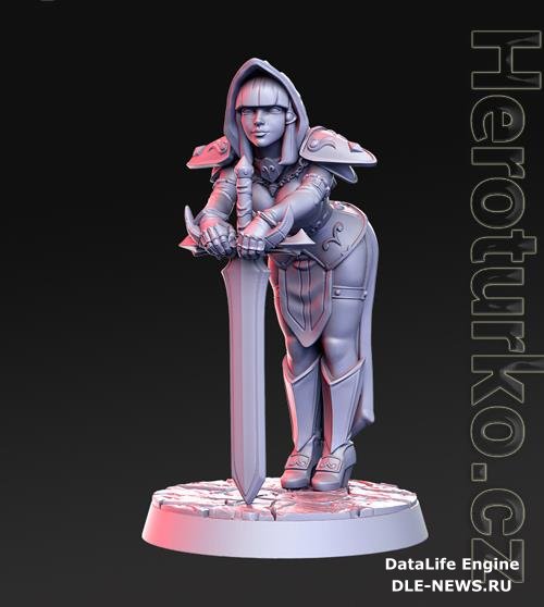 Silencia - Female Paladin 3D Print