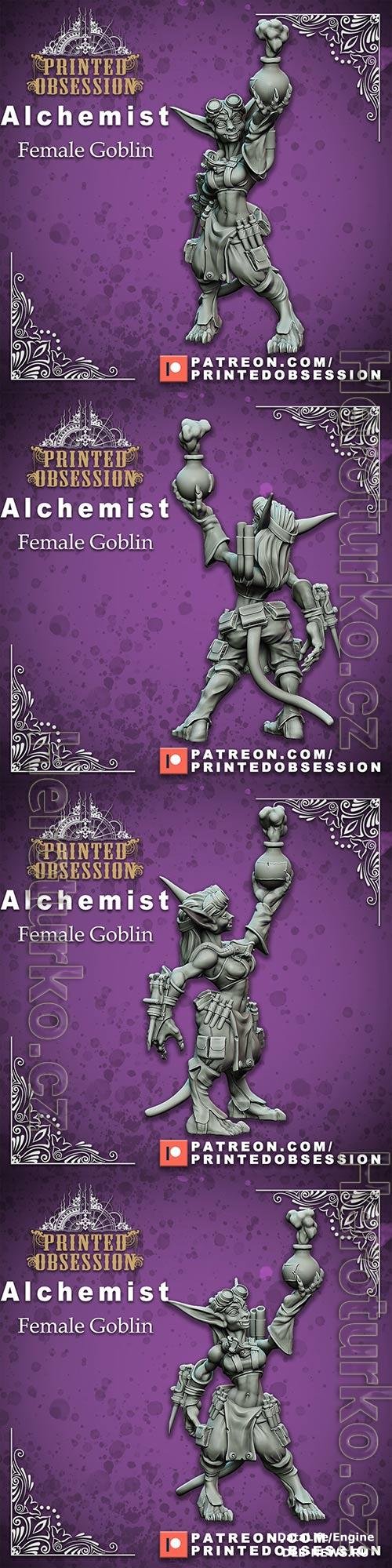 Alchemist - Female Goblin 3D Print