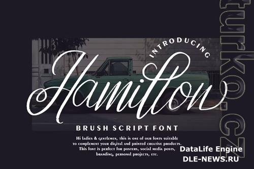 Hamillon Brush Script Font OTF