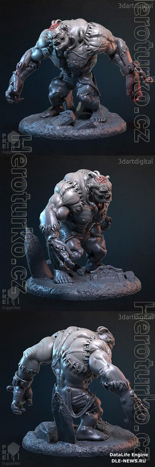 Ibin Franj Flesh Golem 3D Print