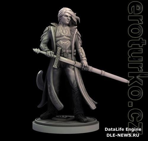 Sorin 3D Print