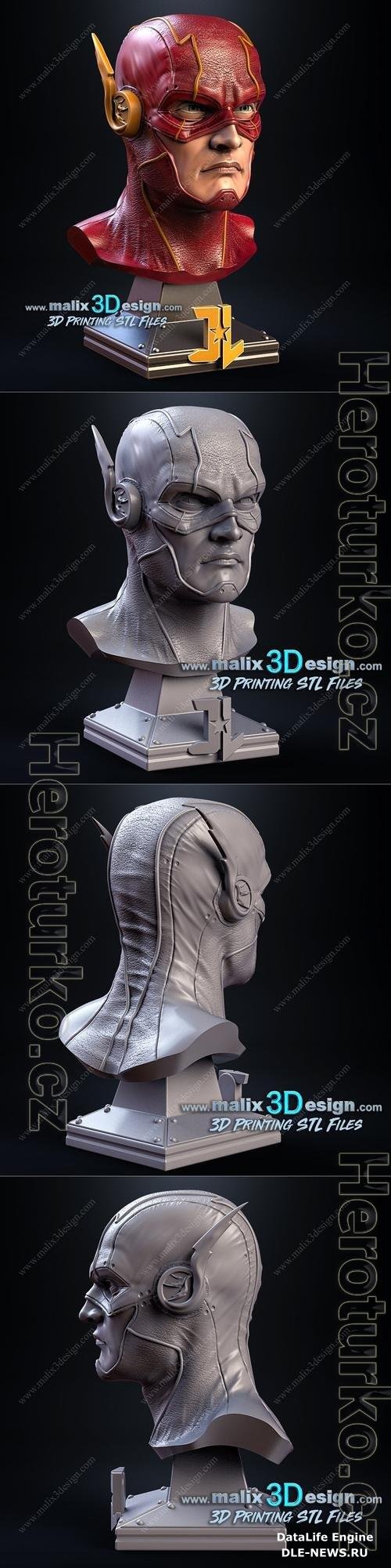 Flash Bust 3D Print