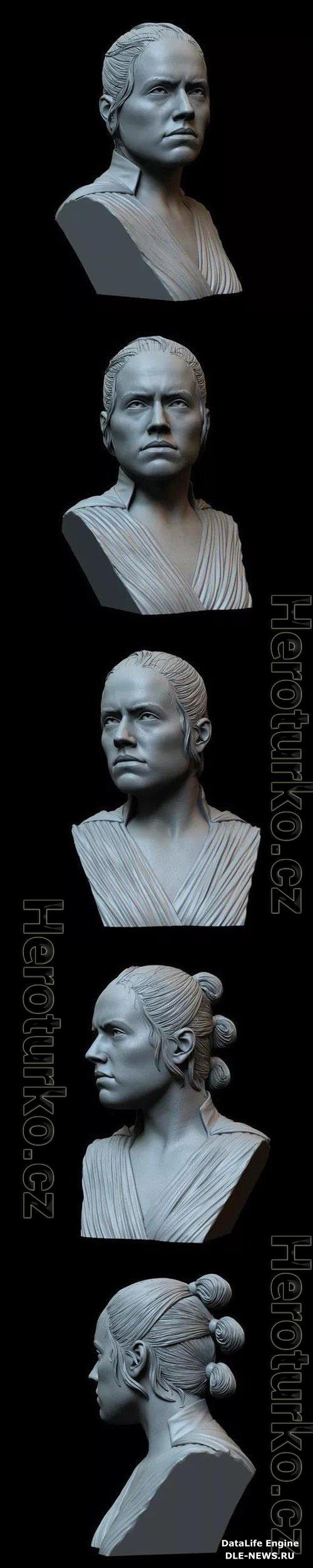 Rey 3D Print