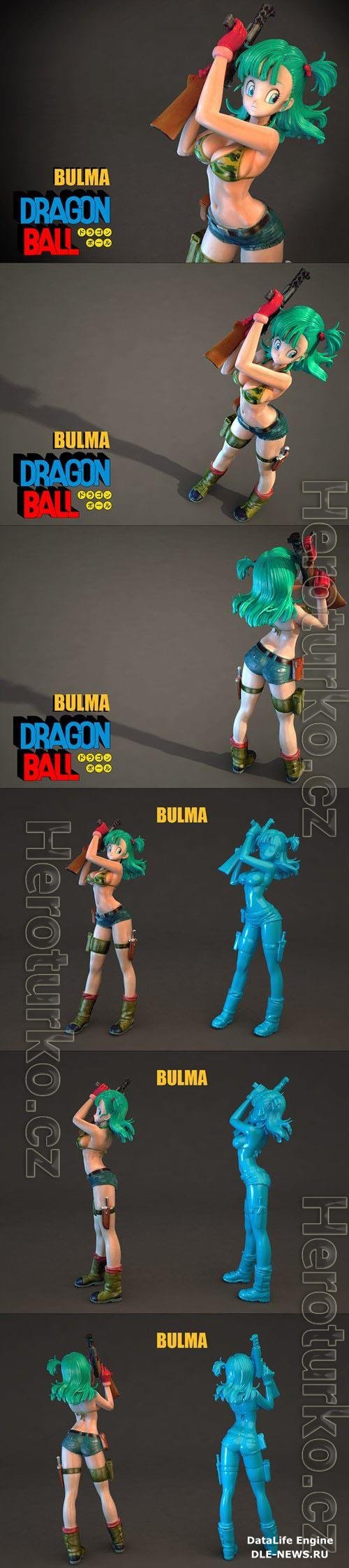 Bulma 3D Print