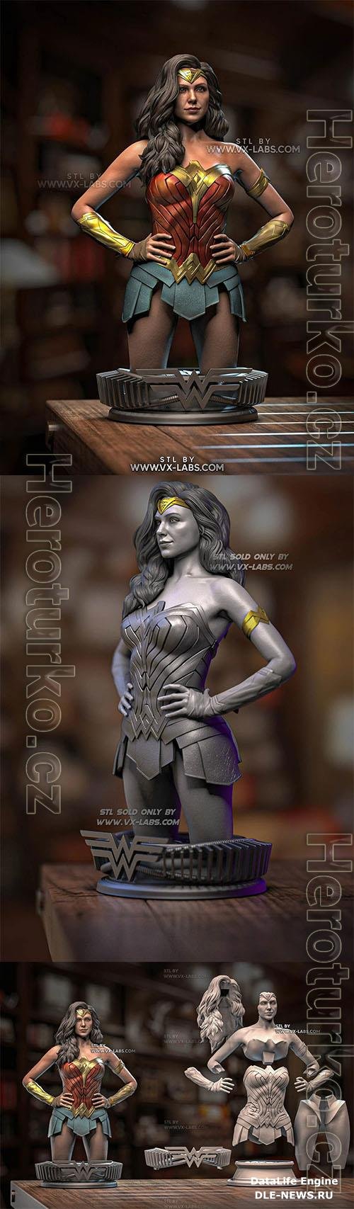 Amazonian Warrior  Gal Gadot 3D Print
