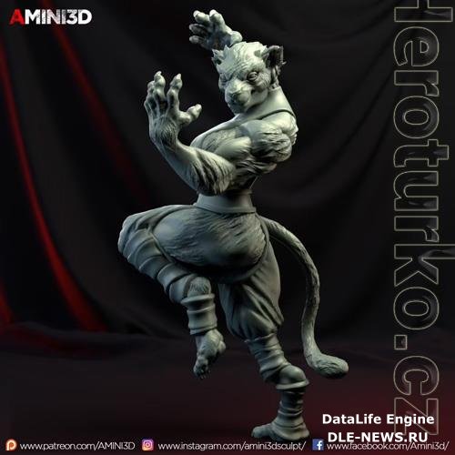 Tabaxi Monk Female 3D Print