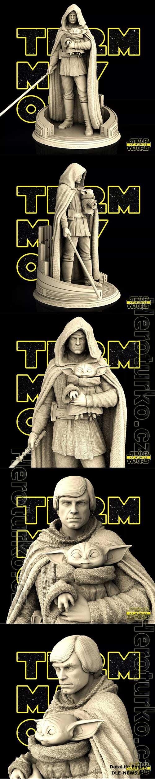 Star Wars  Luke Skywalker 3D Print