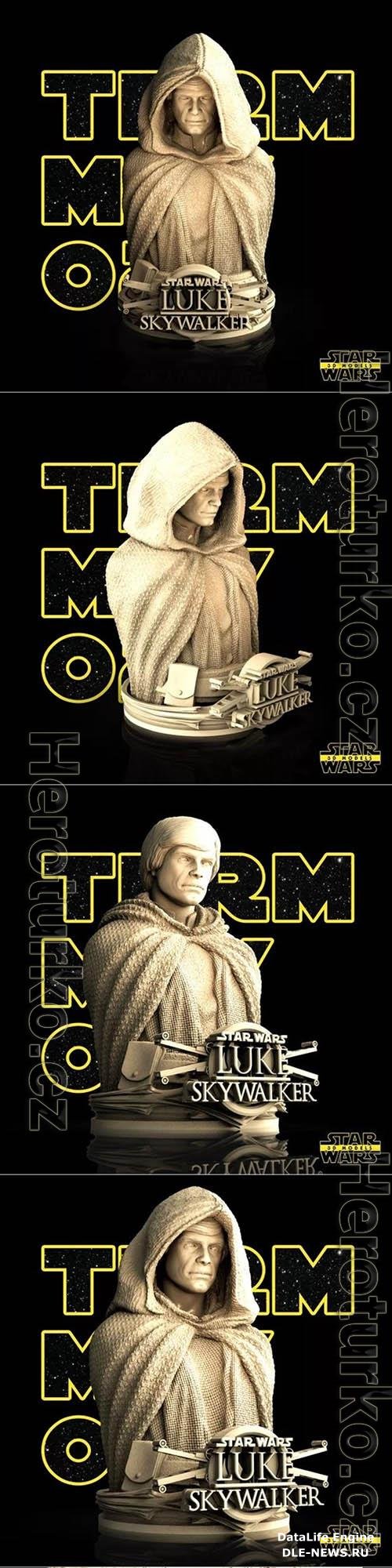 Star Wars  Luke Skywalker Bust 3D Print