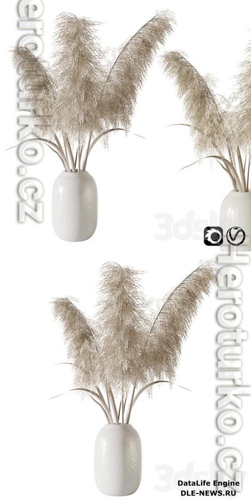 Pampas grass bouquet 3D Model