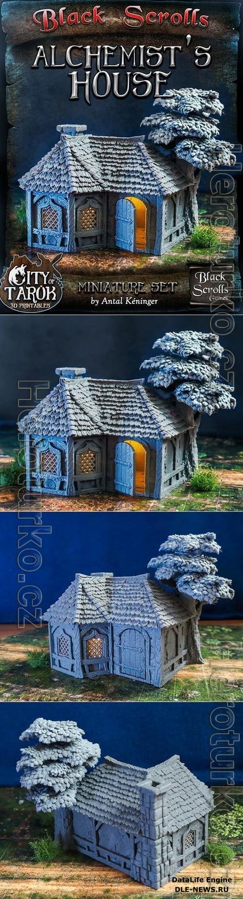 City of Tarok - Alchemists House 3D Print