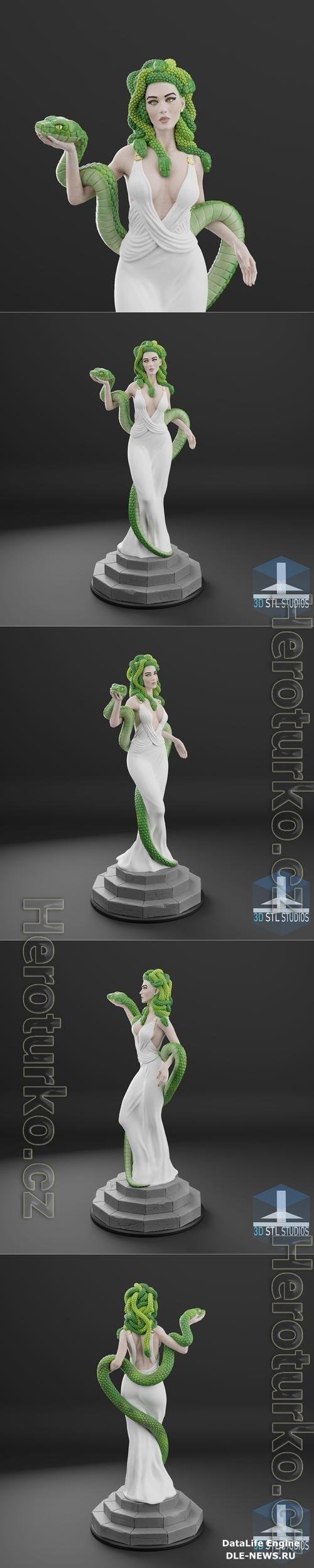 3D Stl studio - Medusa 3D Print