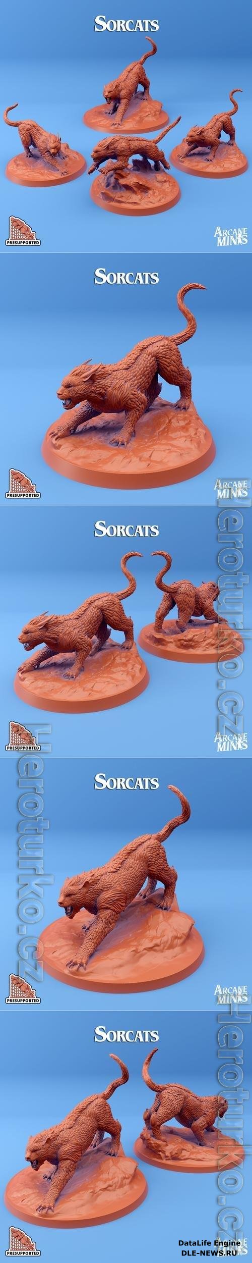 Arcane Minis - Sorcats 3D Print