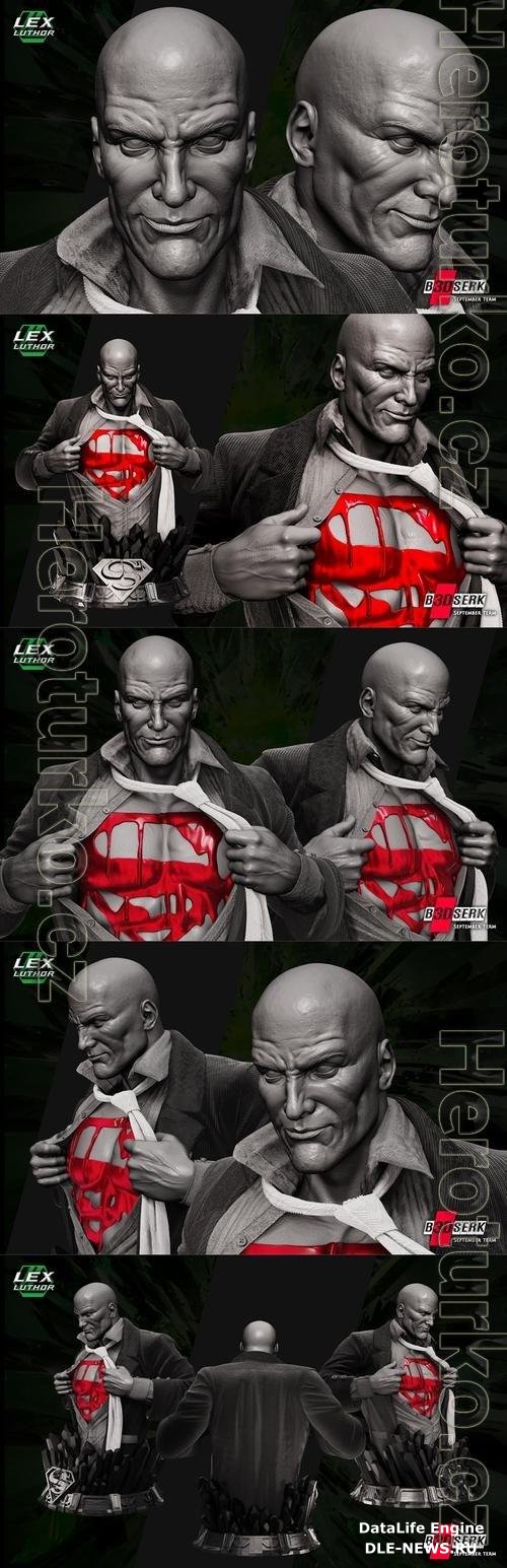 B3DSERK - Lex Luthor Bust 3D Print