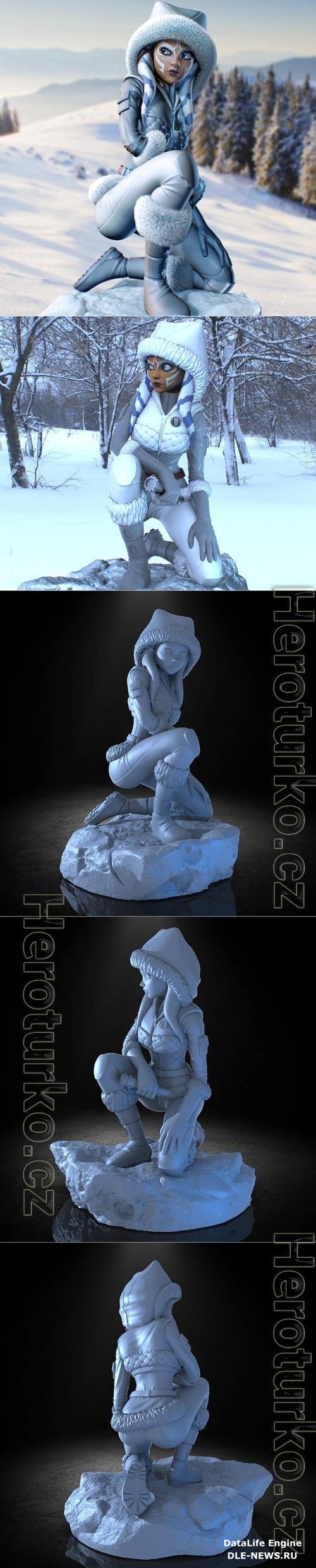 Ashoka Winter 3D Print
