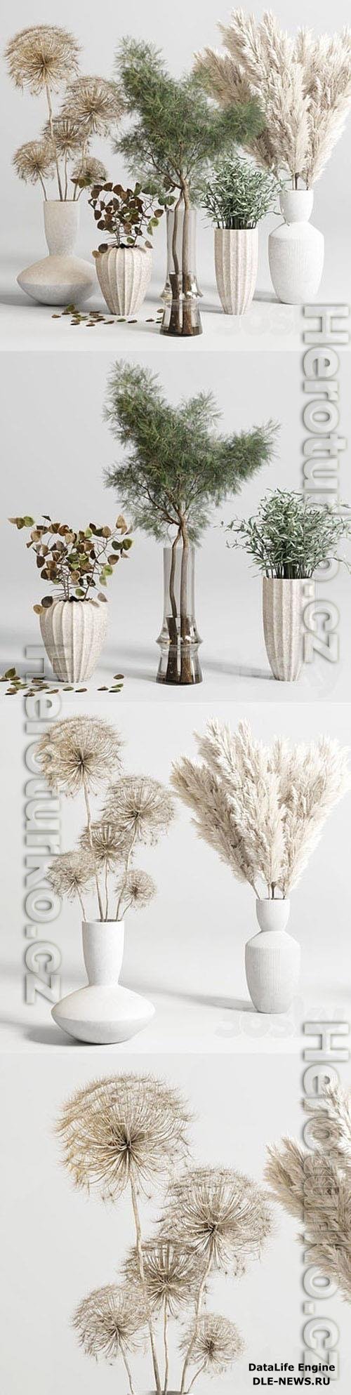 Bouquet 13 concrete vse plant pampas and dry hogweed dry leaves 3D Models