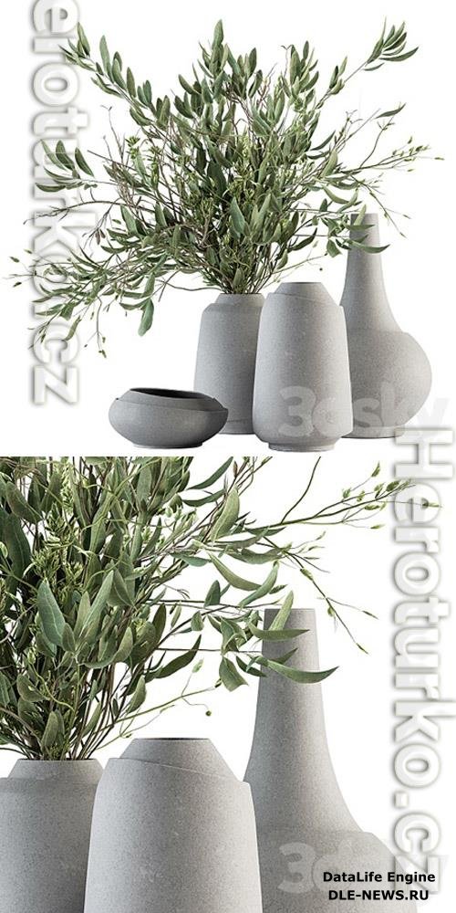 Vase and Plant Decorative Set Set 81 3D Models
